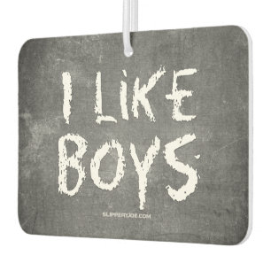 SlipperyJoe's I Like Boys dirty chalkboard dark te Car Air Freshener