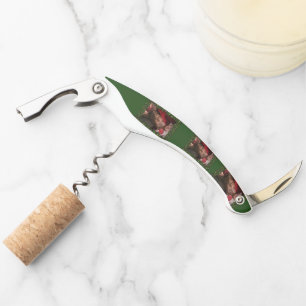 SlipperyJoe's male chest six pack stomach bare tor Corkscrew