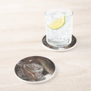 SlipperyJoe's muscular ghost stone dimly lit tunne Coaster