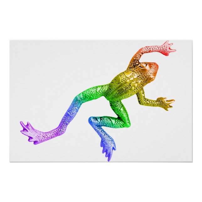 SlipperyJoe's rainbow coloured frog rendered sculp Poster (Front)