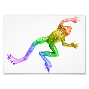 SlipperyJoe's rainbow gradient frog vibrant amphib Photo Print