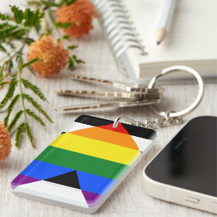 SlipperyJoe's straight ally flag smooth rainbow gr Key Ring