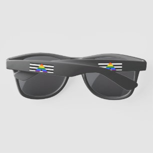 SlipperyJoe's straight ally flag smooth rainbow gr Sunglasses