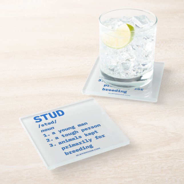 SlipperyJoe's stud definition animals dictionary b Glass Coaster (Angled)