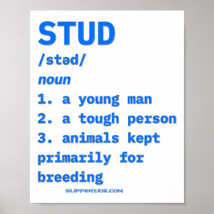 Slipperyjoes Stud Definition Animals Dictionary B Poster