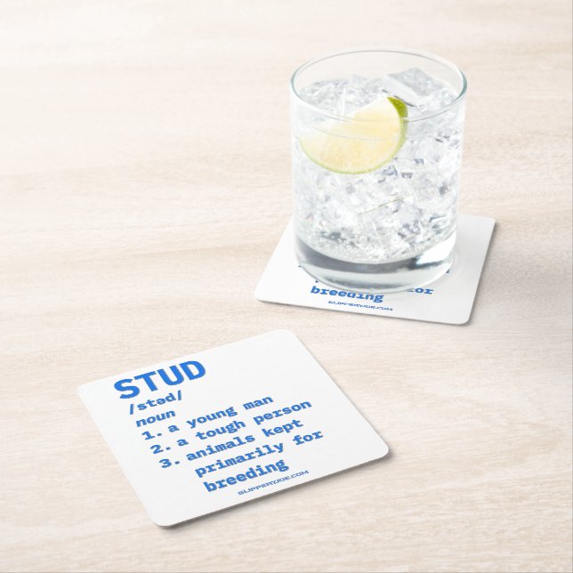 SlipperyJoe's stud definition animals dictionary b Square Paper Coaster (Insitu)