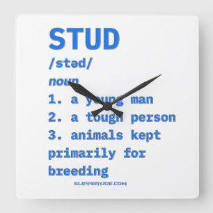 SlipperyJoe's stud definition animals dictionary b Square Wall Clock