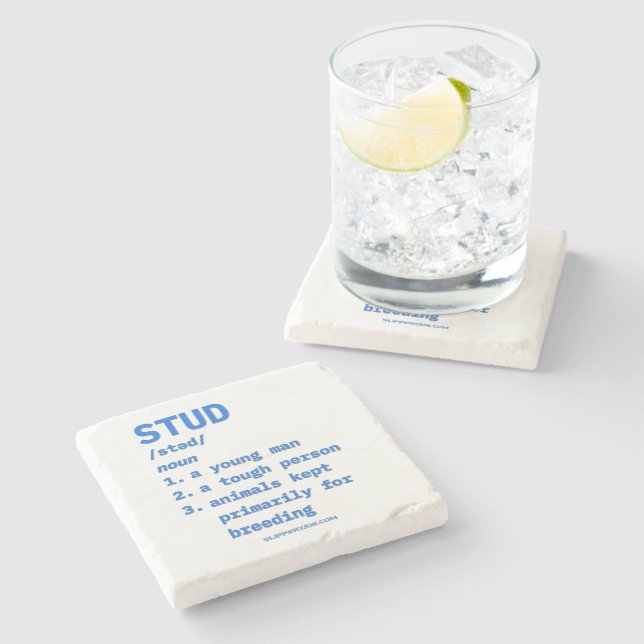 SlipperyJoe's stud definition animals dictionary b Stone Coaster (Side)