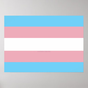 SlipperyJoe's transgender pride flag diversity rig Poster