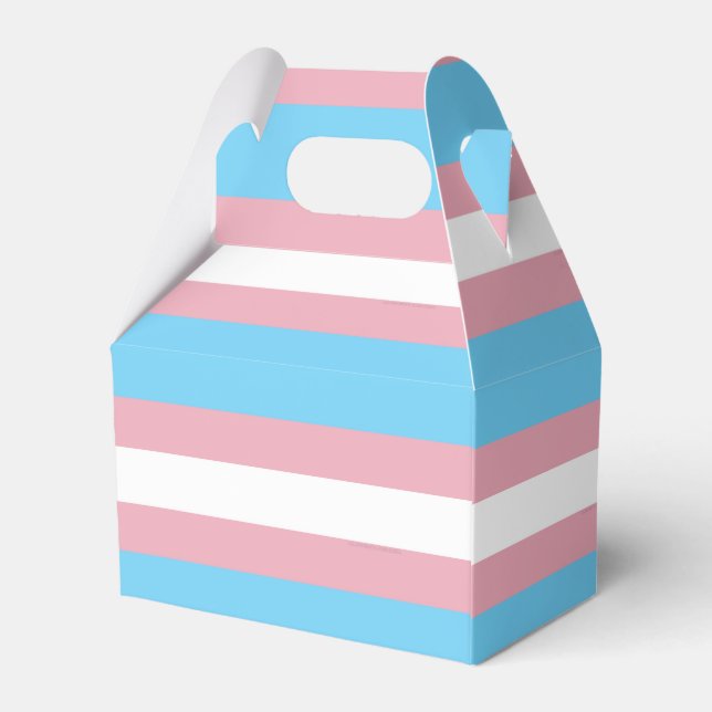 SlipperyJoe's transgender pride flag visibility di Favour Box (Back Side)