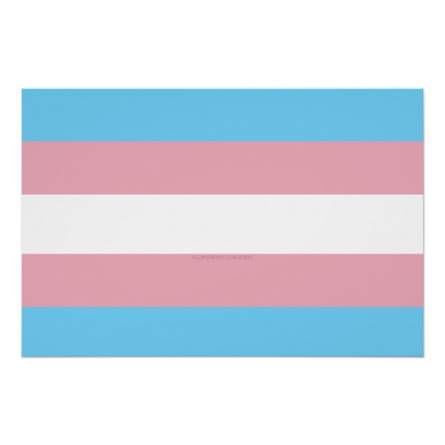 SlipperyJoe's transgender pride flag visibility di Poster (Front)