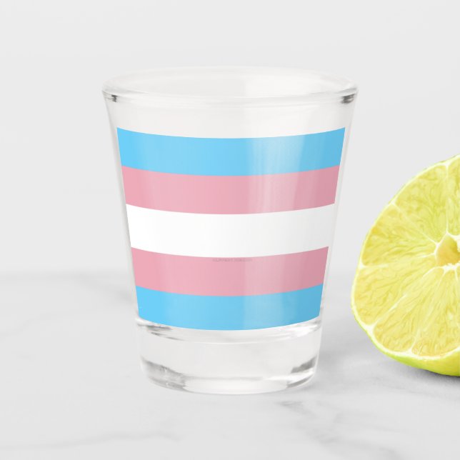 SlipperyJoe's transgender pride flag visibility di Shot Glass (Front)