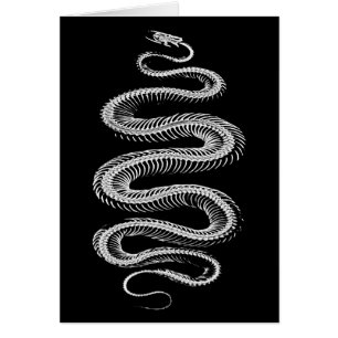 Slithering Snake Skeleton