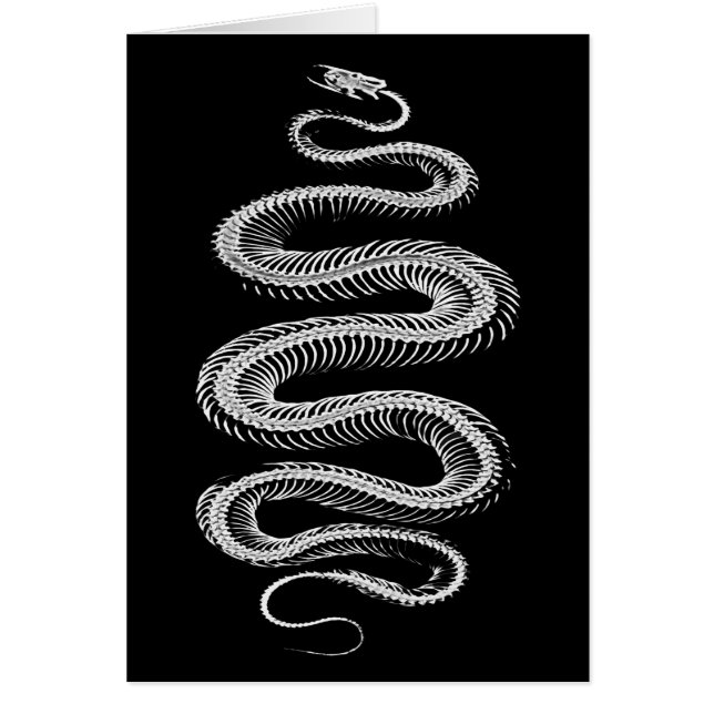 Slithering Snake Skeleton (Front)