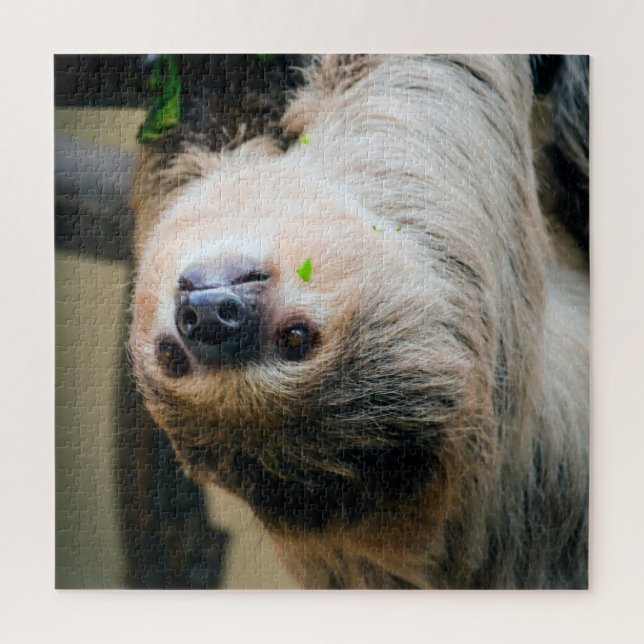 Sloth 001 jigsaw puzzle (Vertical)