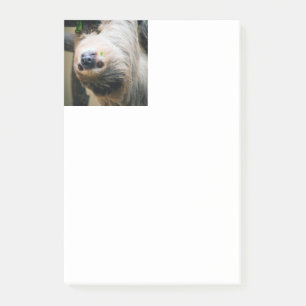 Sloth 001 post-it notes