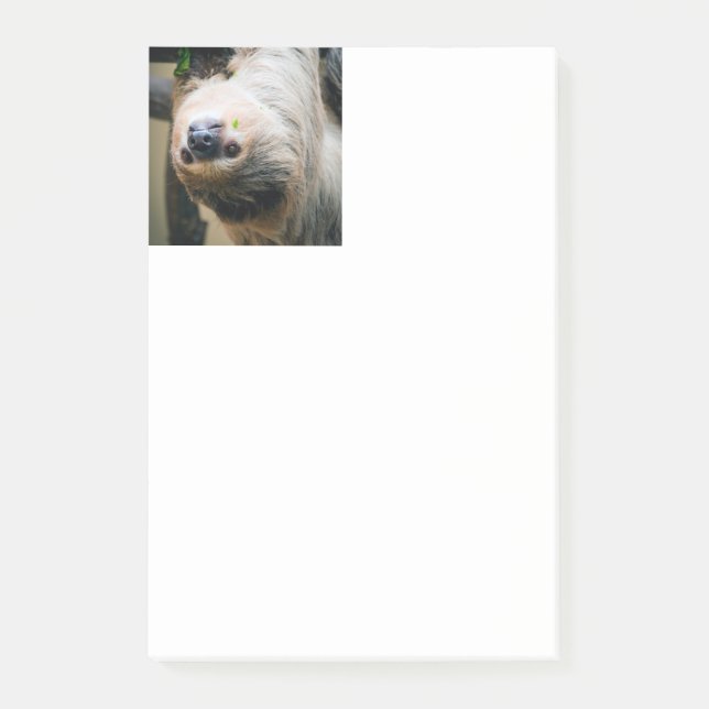 Sloth 001 post-it notes (Front)