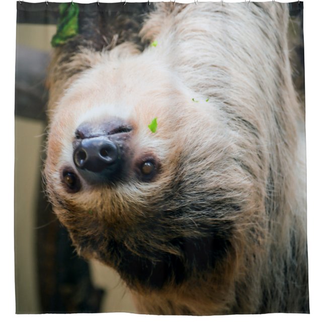 Sloth 001 shower curtain (Front)