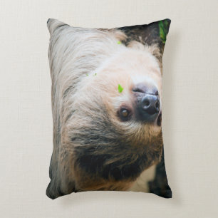 Sloth 005 decorative cushion