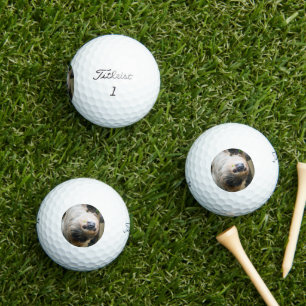 Sloth 005 golf balls