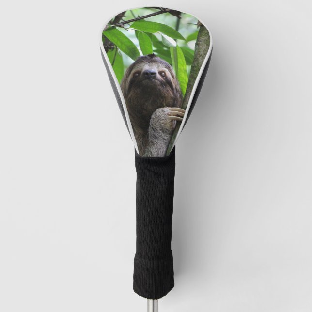 Sloth_2019002 Golf Head Cover (Front)