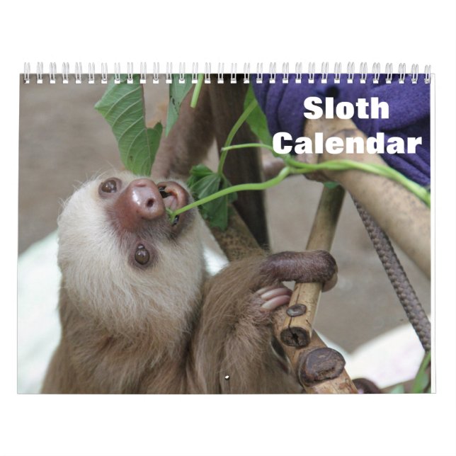 Sloth 2026 calendar (Cover)