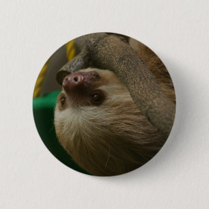 Sloth 6 Cm Round Badge