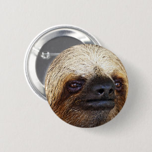 Sloth 6 Cm Round Badge