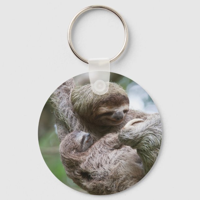 Sloth Baby with Mother Hanging from a Tree Key Ring (Front)