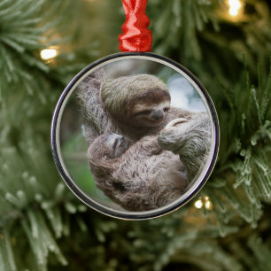 Sloth Baby with Mother Hanging from a Tree Metal Ornament