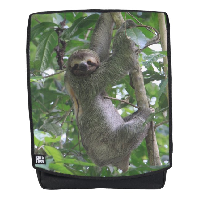 Sloth Backpack (Front)