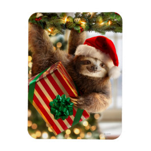 Sloth Bearing Gifts Magnet