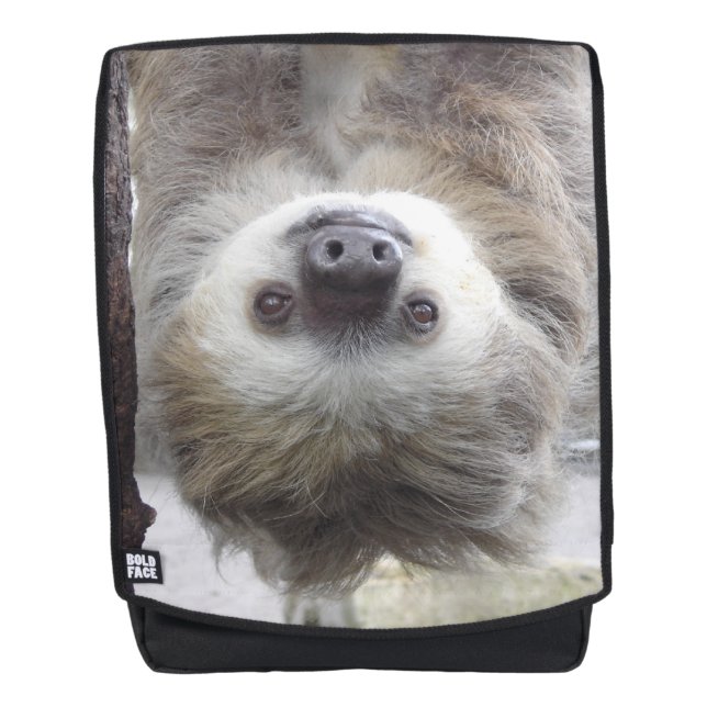 Sloth Boldface Backpack (Front)