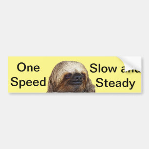 Sloth Bumper Sticker