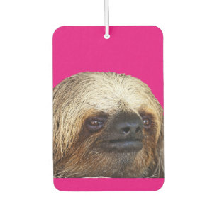 Sloth Car Air Freshener