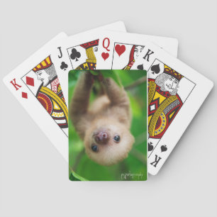 Sloth Card Deck