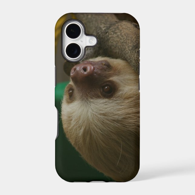 Sloth Case-Mate iPhone Case (Back)
