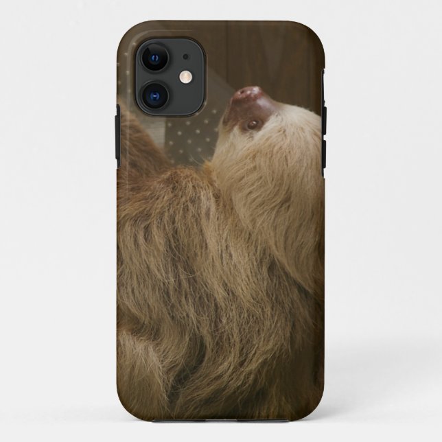 Sloth Case-Mate iPhone Case (Back)