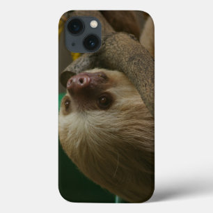Sloth iPhone 13 Case