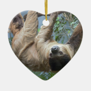 Sloth Ceramic Tree Decoration