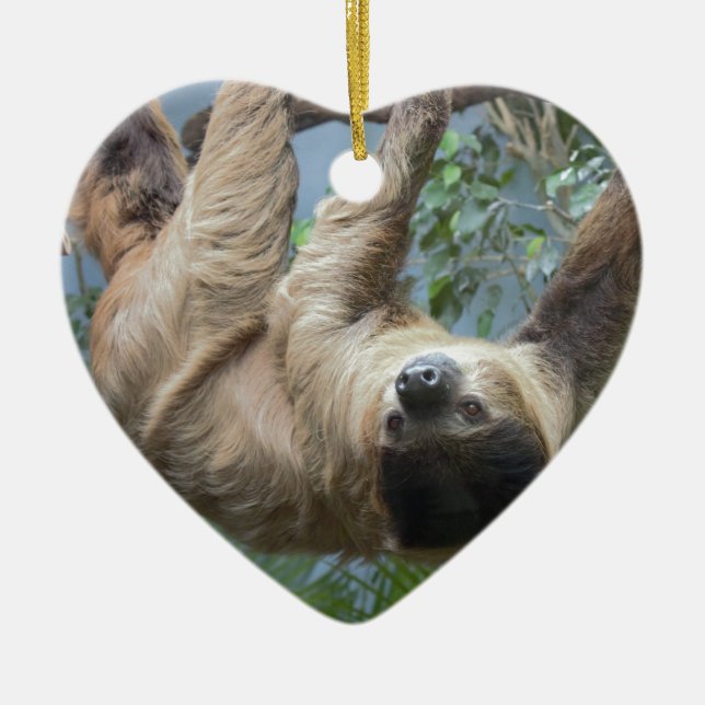 Sloth Ceramic Tree Decoration (Front)