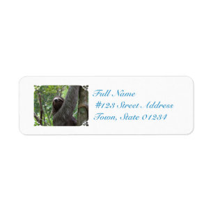 Sloth Climbing Tree Return Address Label