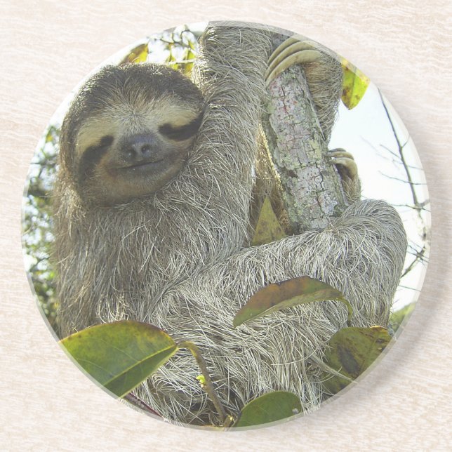 Sloth Coaster (Front)