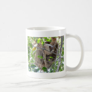 sloth coffee mug