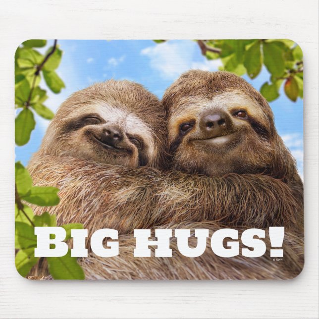 Sloth Couple Mouse Pad (Front)
