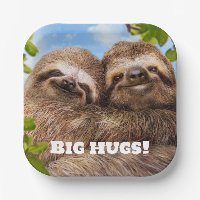 Sloth Couple Paper Plate (Front)
