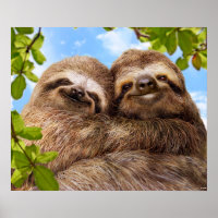 Sloth Couple