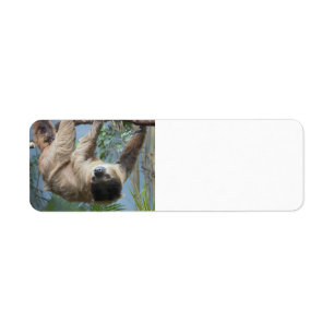 Sloth Customisable Address Lables Return Address Label