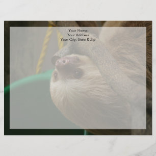 Sloth Customised Letterhead