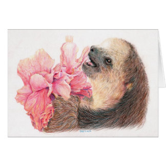 Sloth eating hibiscus flower